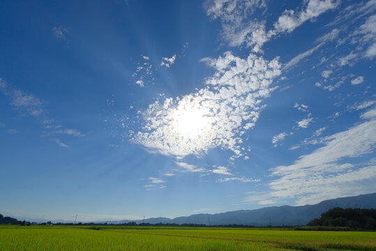 薄明光線が広がる秋の空