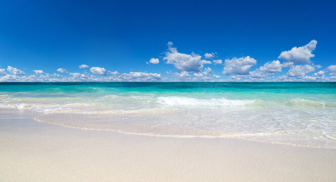 beach and tropical sea. nature background