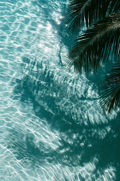 A close up shot of turquoise pool water rippling under bright sunlight. The shadow of a palm tree branch stretches across the frame.