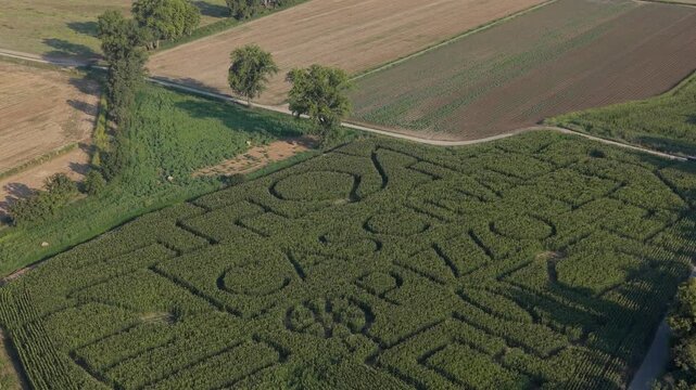 Corn Maze Aerial View: An expansive corn maze seen from above, revealing intricate patterns and pathways cut into the tall green stalks, promising a fun and challenging adventure.