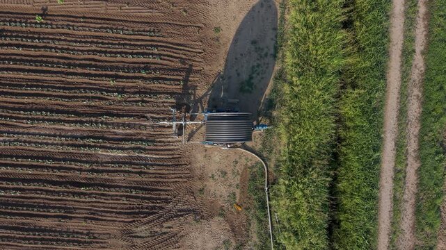 Top-down aerial view of a hose reel irrigation machine positioned in a cultivated field after morning watering.