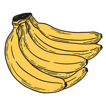 A bunch of ripe yellow bananas, illustrated in bold hand-drawn line art. Suitable for food packaging, menus, posters, labels, educational materials and decorative designs.