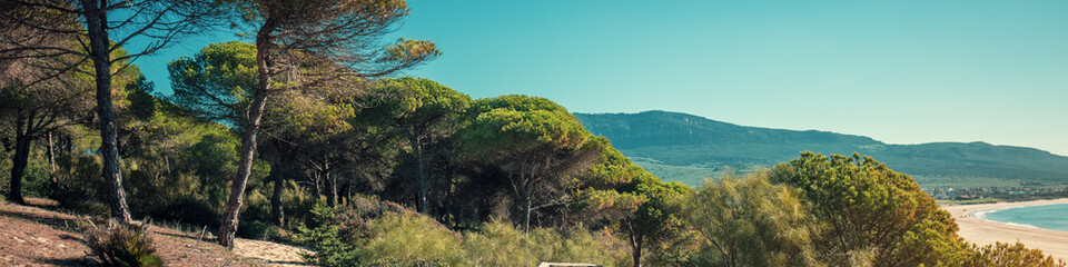 Wooden walkway along the sea and pine trees in the natural park to sandy Bolonia Dune  Andalusia Spain Europe © vvvita