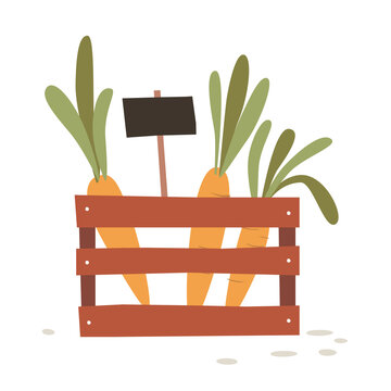 Fresh carrots with green leaves displayed in a wooden market crate with a blank price sign, isolated on a transparent background.