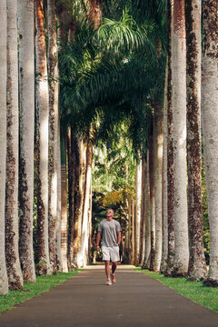 Man Walking Through Pamplemousses Botanical Garden Surrounded by Tall Tropical Palms
