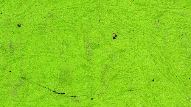 Stop Motion Green Paper Texture Loop Background