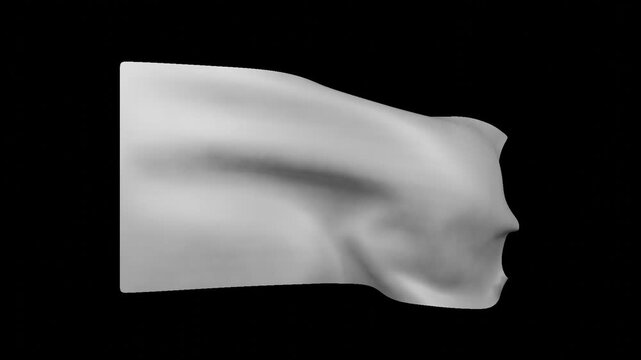 Realistic Flag Waving in Wind Seamless Animation With Alpha