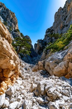 Limestone mountain gorge with rugged terrain and sharp rock textures under bright sunlight for outdoor adventure and geology branding