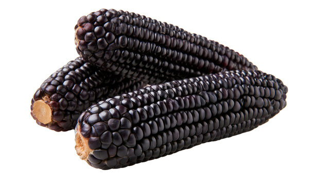 Black corn isolated on transparent background