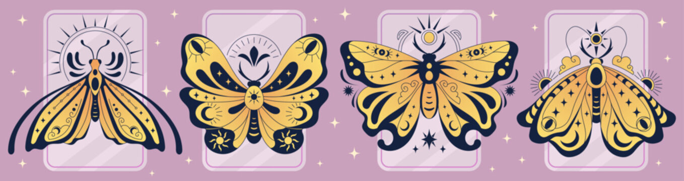 2604.p002.m001.193B.p1.193