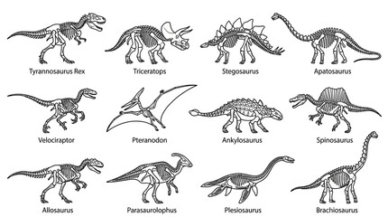 Dinosaur Skeletons Collection Isolated © afer