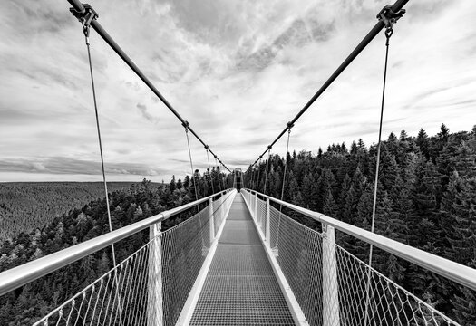 Dramatic black and white view along a high suspension bridge above the forest near Bad Wildbad, Germany, with strong perspective, symmetry and panoramic views.