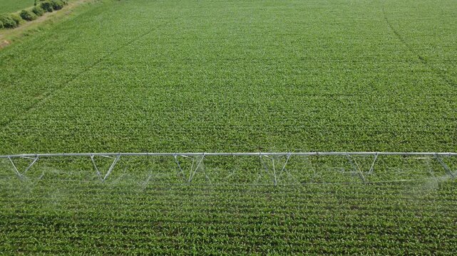 Center Pivot Irrigation Watering Rows of Corn