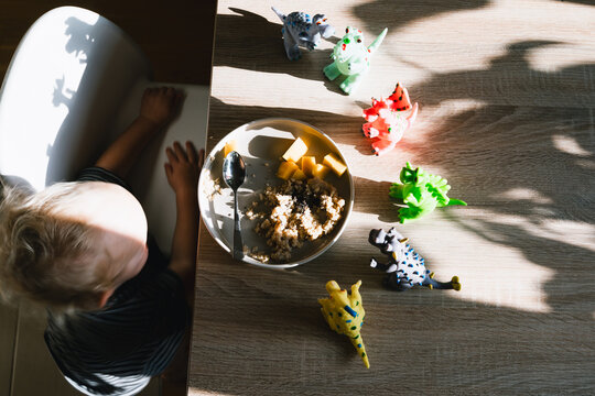 Cute toddler boy eats porridge with mango while playing with colorful toy dinosaurs at a home dining table. Authentic childhood lifestyle concept showing playful everyday mealtime moments.