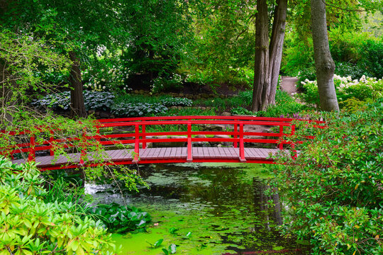 Red-painted wooden bridge in a lush forest with a small stream.