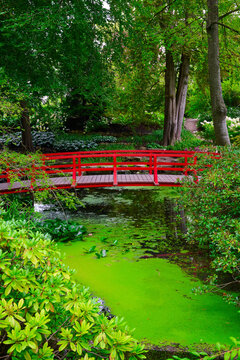 Red-painted wooden bridge in a lush forest with a small stream.