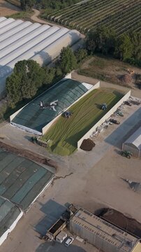 Aerial View Forage Harvesting and Livestock Feed Production on a Farm in Northern Italy