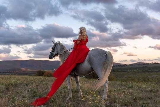 Woman horse dress beautiful blonde rider in a long flowing red gown on a white steed