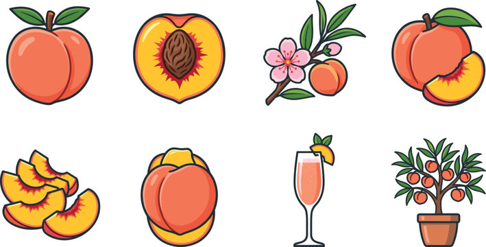 Peach Fruit Illustration Collection with Fresh Whole, Sliced, Blossoming, Juicy and Potted Peach Tree Elements for Summer Design