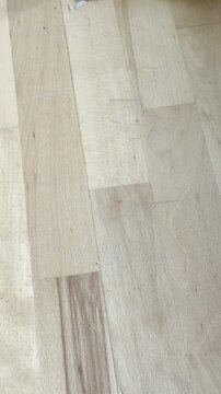 Person sweeping dust, dirt and lint off wooden parquet floor into dustpan using brush during daily household cleaning routine, domestic housekeeping concept for home hygiene and tidy interior