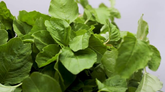 Fresh amaranth leaves rotating on clean white background for culinary content.