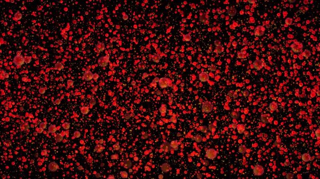 Intense red glowing particles and microscopic blood cell shapes floating inside a dark biological or medical environment for abstract digital animation