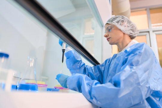 Female researcher wearing protective gown and safety glasses carefully pipetting liquid samples into microtiter plates inside a laminar flow hood