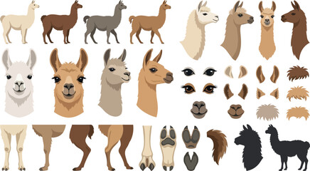 Obraz premium Llama animal elements collection in flat design style for graphic design