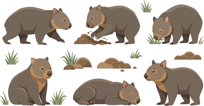 Wombat poses in natural setting during daytime vector illustration