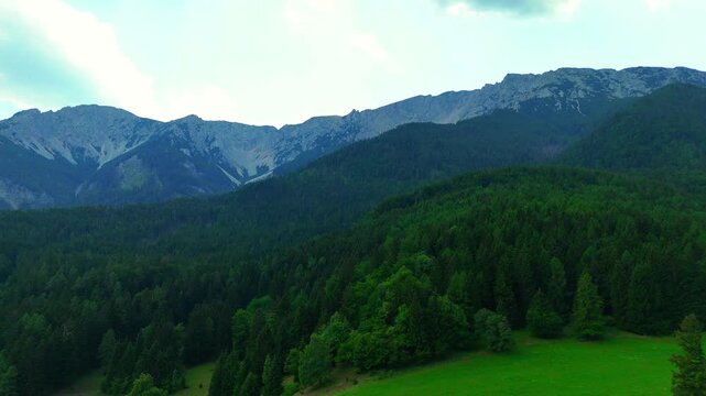 Mountain range with green forest and hills under a cloudy sky. A mountain range covered in trees with a grassy area in the foreground.