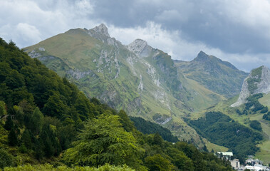 Obraz premium high angle shot of the trees on the grass-covered meadow with the mountains in the background