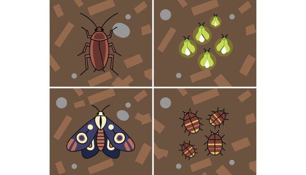 Four educational panels display various underground insects including a cockroach, glowing fireflies, a moth, and beetles.