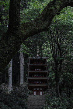 Traditional Japanese five-story pagoda in a forest
新緑