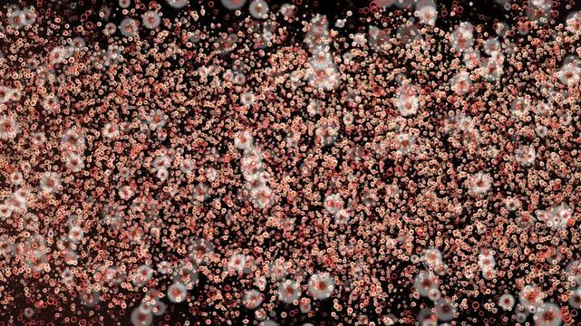 Dense cloud of tiny copper and white particles moving rapidly across dark backdrop creating high energy digital abstract motion background video