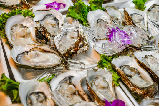 fresh oysters close-up, selective focus