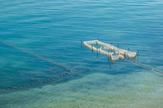 fishing nets in the sea