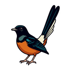 Obraz premium Colorful long-tailed bird sticker illustration murai batu