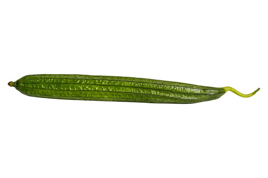 Fresh ridge gourd with curved stem on transparent background