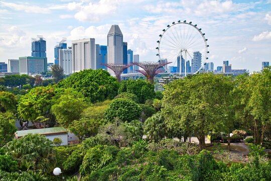 Singapore City photo, downtown core skyline seen over park greenery. Modern city view in Southeast Asia.