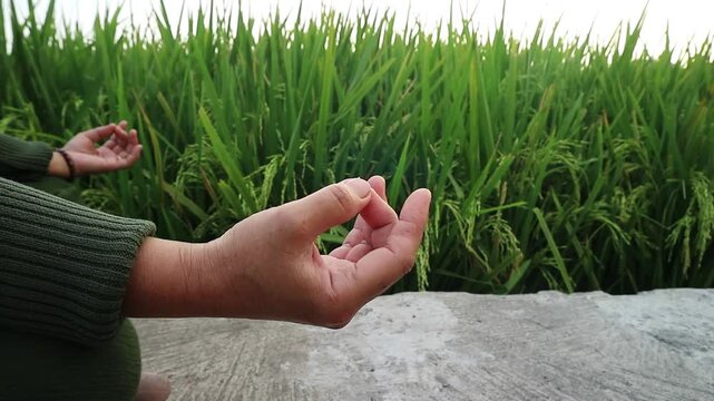 Womans hand in gyan mudra meditating outdoors near a lush green rice field at sunrise.