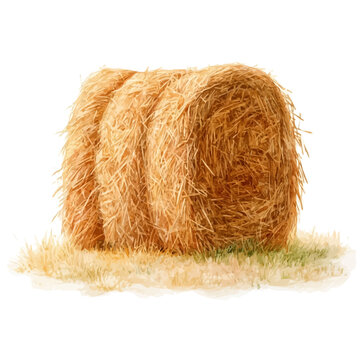 Hay Bale watercolor drawing vector, premium quality illustration on a clean white background.