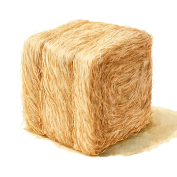 Hay Bale watercolor artwork, high-quality professional vector illustration isolated on a white background.