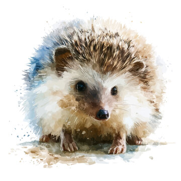 Watercolor Forest Hedgehog vector, artistic painting style, high-resolution illustration on a pure white background.