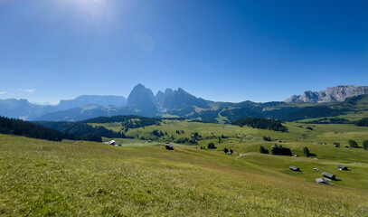 Obraz premium View of beautiful landscape in the Alps with fresh green meadows in the background on a sunny day with blue sky and clouds in summertime. Alpe de Siusi, Dolomite Alps