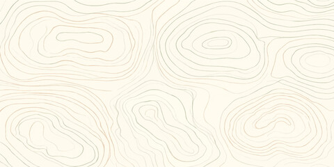 Clean warm cream topographic contour line background abstract geographic elevation map pattern for modern layout © NISAT AKTHER