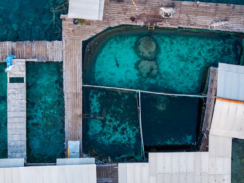 Aerial view of the shark breeding enclosure at Menjangan Besar Island, featuring turquoise water, wooden walkways, and clear visibility of sharks swimming below in Karimunjawa, Jawa Tengah, Indonesia.