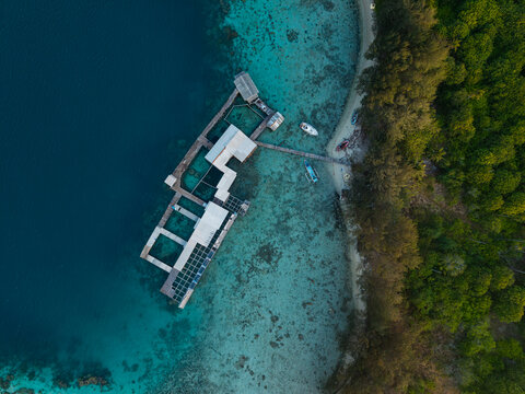 Aerial view of the shark breeding facility at Menjangan Besar Island with wooden enclosures and turquoise waters in Karimunjawa, Jawa Tengah, Indonesia.