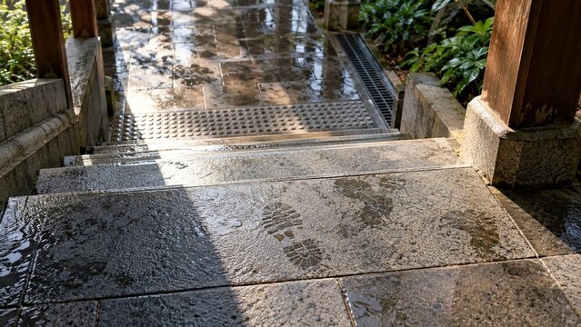 Wet stone pathway showing distinct sets of footprints on the damp surface near a wooden structure, sunlight streams across the polished stepping stones leading toward foliage