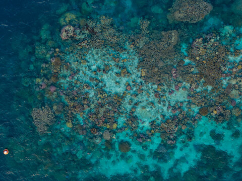 Aerial view of Karimunjawa coral reefs featuring vibrant underwater textures, diverse marine life, and clear turquoise waters in Karimunjawa, Central Java, Indonesia.