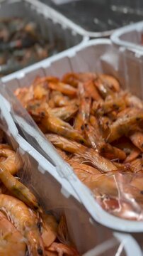 Seafood trays overflow with whole shrimp, their orange shells and long antennae visible as camera shifts across neighboring bins. This market display highlights fresh shellfish for meals and retail.
